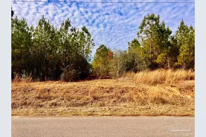 Lot 13 Br Buffalo Ridge Rd, Pace, FL 32571 - Photo 5