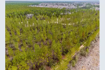 8997 Indian Ford Rd #44.23 Acres, Milton, FL 32570 - Photo 27