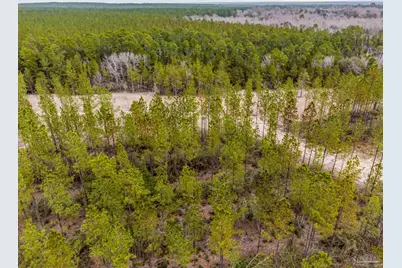 8997 Indian Ford Rd #44.23 Acres, Milton, FL 32570 - Photo 5