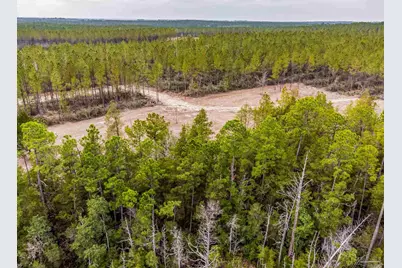 8997 Indian Ford Rd #44.23 Acres, Milton, FL 32570 - Photo 37
