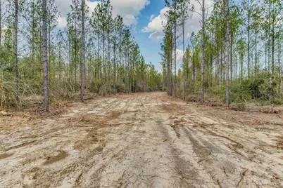 8997 Indian Ford Rd #44.23 Acres, Milton, FL 32570 - Photo 55