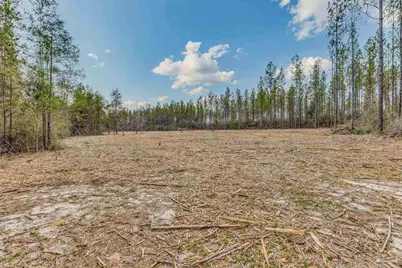 8997 Indian Ford Rd #44.23 Acres, Milton, FL 32570 - Photo 49