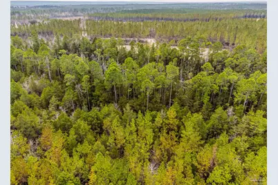 8997 Indian Ford Rd #44.23 Acres, Milton, FL 32570 - Photo 21