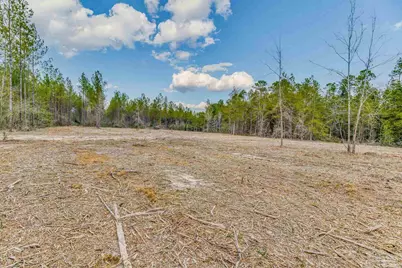 8997 Indian Ford Rd #44.23 Acres, Milton, FL 32570 - Photo 53