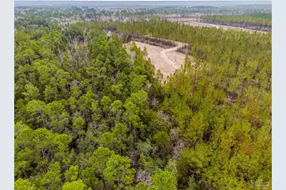 8997 Indian Ford Rd #44.23 Acres, Milton, FL 32570 - Photo 23
