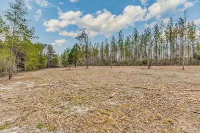 8997 Indian Ford Rd #44.23 Acres, Milton, FL 32570 - Photo 47