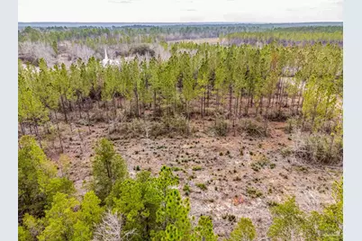 8997 Indian Ford Rd #44.23 Acres, Milton, FL 32570 - Photo 35
