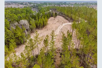 8997 Indian Ford Rd #44.23 Acres, Milton, FL 32570 - Photo 41