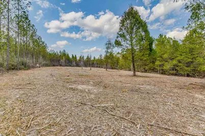 8997 Indian Ford Rd #44.23 Acres, Milton, FL 32570 - Photo 45