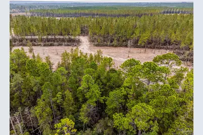 8997 Indian Ford Rd #44.23 Acres, Milton, FL 32570 - Photo 39