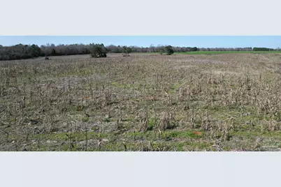 5400 Blk Rockaway Creek Rd, McDavid, FL 32568 - Photo 13