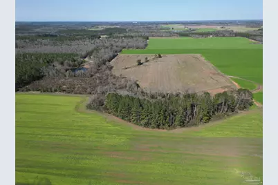 5400 Blk Rockaway Creek Rd, McDavid, FL 32568 - Photo 5