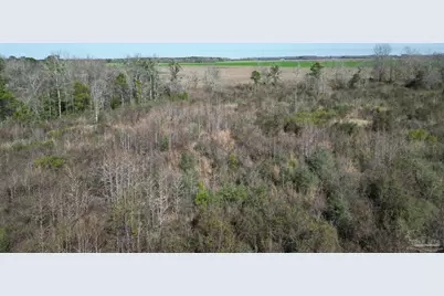 5400 Blk Rockaway Creek Rd, McDavid, FL 32568 - Photo 7