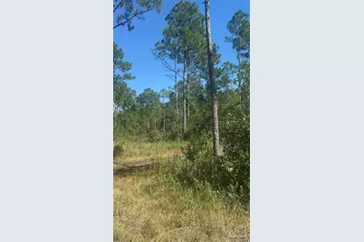 Robinson Point Rd, Milton, FL 32583 - Photo 13