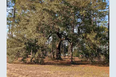 3808 San Gabriel Dr, Pensacola, FL 32504 - Photo 59