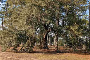 3808 San Gabriel Dr, Pensacola, FL 32504 - Photo 59