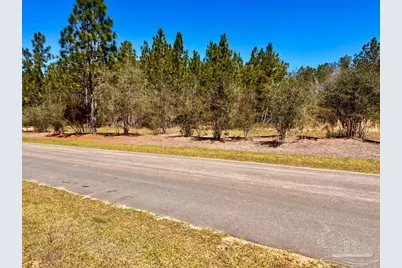 Lot 33 Pine Preserve Ln, Pace, FL 32571 - Photo 41