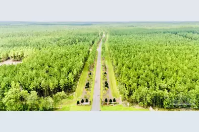 Lot 33 Pine Preserve Ln, Pace, FL 32571 - Photo 31