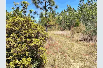 Lot 33 Pine Preserve Ln, Pace, FL 32571 - Photo 17