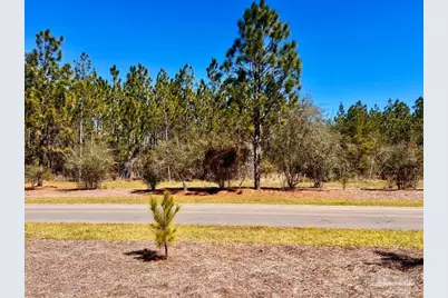 Lot 33 Pine Preserve Ln, Pace, FL 32571 - Photo 15