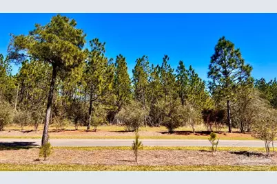 Lot 33 Pine Preserve Ln, Pace, FL 32571 - Photo 11