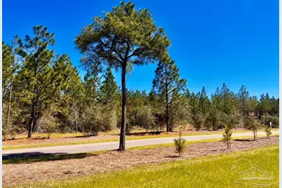 Lot 33 Pine Preserve Ln, Pace, FL 32571 - Photo 3