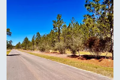 Lot 33 Pine Preserve Ln, Pace, FL 32571 - Photo 9