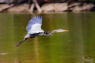 44 Osprey Dr, Pensacola, FL 32507 - Photo 31