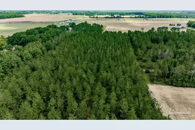 Lot 9 Daybreak Ln, Pace, FL 32571 - Photo 7