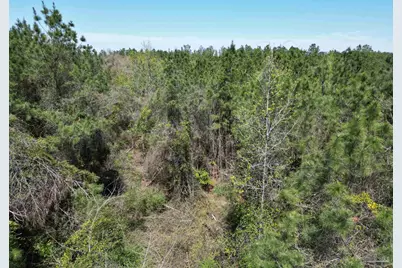 00 Dykestown Rd, Jay, FL 32565 - Photo 3