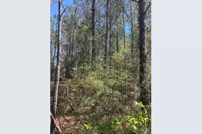 00 Dykestown Rd, Jay, FL 32565 - Photo 9