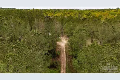 4660 Morristown Rd, Jay, FL 32565 - Photo 23