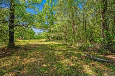 3015 Molino Rd, Molino, FL 32577 - Photo 9