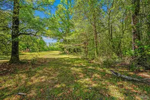 3015 Molino Rd, Molino, FL 32577 - Photo 9