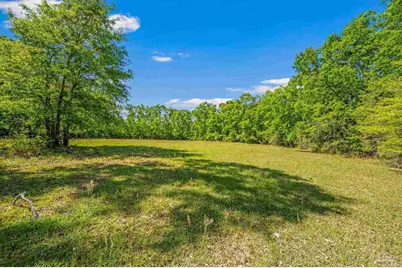 3015 Molino Rd, Molino, FL 32577 - Photo 11