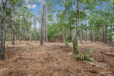 0 Bay Meadows Dr, Milton, FL 32583 - Photo 3