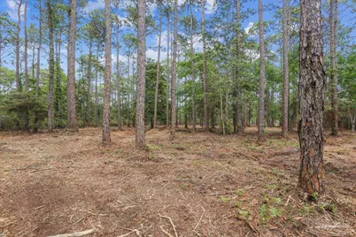 0 Bay Meadows Dr, Milton, FL 32583 - Photo 11