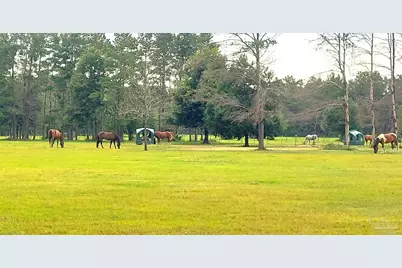 5399 Short Trl, Milton, FL 32583 - Photo 15