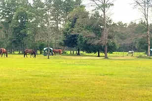 5399 Short Trail, Milton, FL 32583 - Photo 15