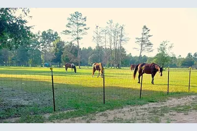 5399 Short Trl, Milton, FL 32583 - Photo 63