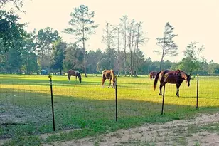 5399 Short Trail, Milton, FL 32583 - Photo 63