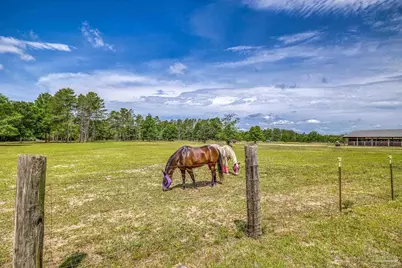 5399 Short Trl, Milton, FL 32583 - Photo 13
