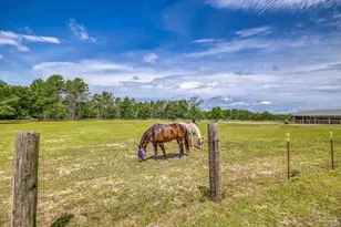 5399 Short Trail, Milton, FL 32583 - Photo 13