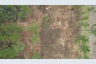 9118 Pine Preserve Ln #LOT 21, Jay, FL 32565 - Photo 5