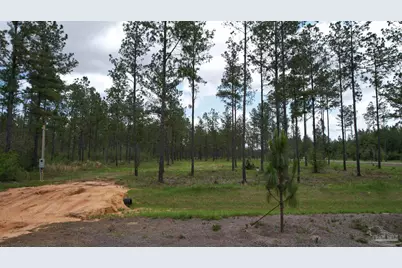 9118 Pine Preserve Ln #LOT 21, Jay, FL 32565 - Photo 19