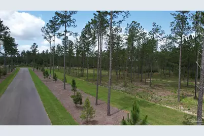 9118 Pine Preserve Ln #LOT 21, Jay, FL 32565 - Photo 9