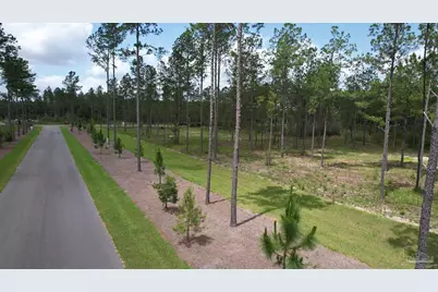 9118 Pine Preserve Ln #LOT 21, Jay, FL 32565 - Photo 15