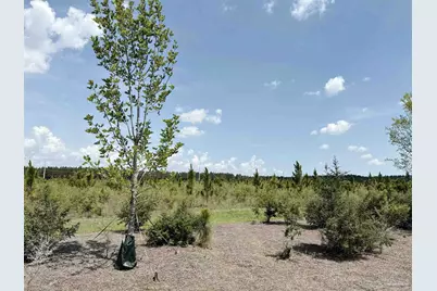Lot 57 South Timber Ln, Jay, FL 32565 - Photo 11