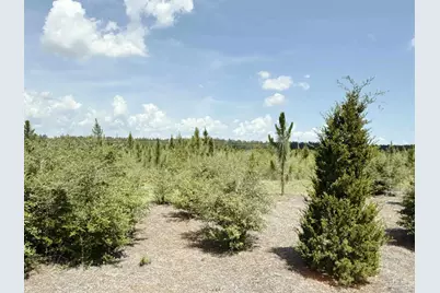 Lot 57 South Timber Ln, Jay, FL 32565 - Photo 3