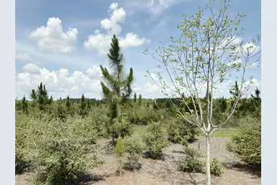 Lot 57 South Timber Ln, Jay, FL 32565 - Photo 9